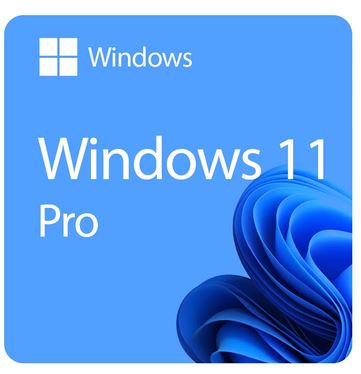 windows 11 pro